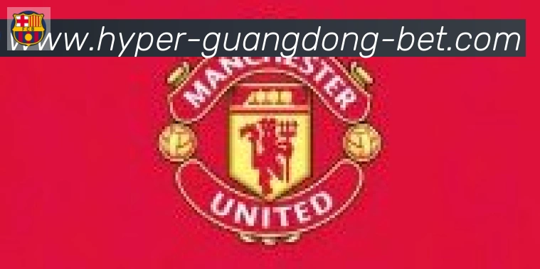 广东体彩合作伙伴